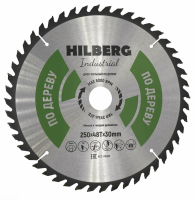 Диск пильный Hilberg Industrial Дерево 250*30*48Т HW251_1